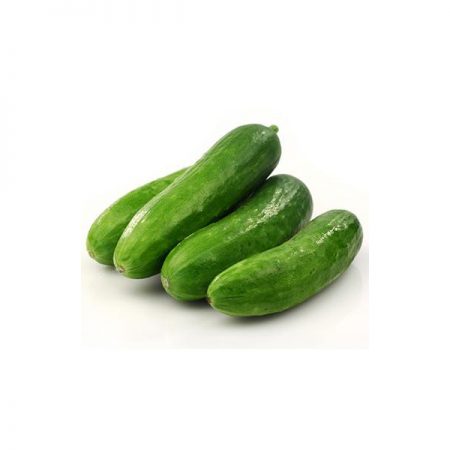 Fresh Baby Snacking Cucumbers