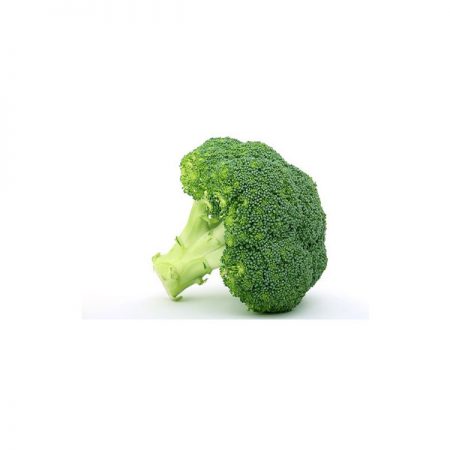 Fresh Broccoli