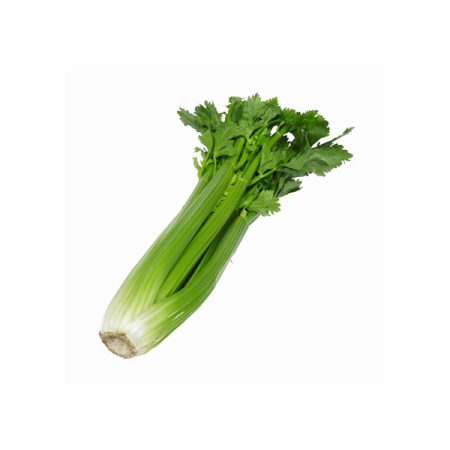 Fresh Celery