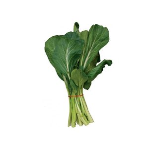 Fresh Choy Sum Prepacked
