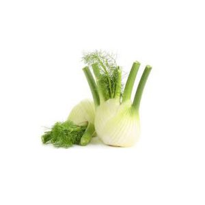Fresh Fennel