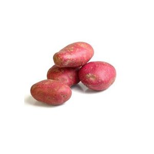 Fresh Pontiac Potatoes