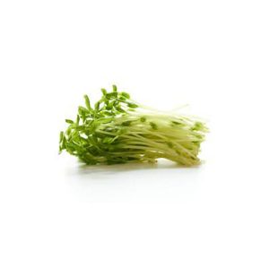 Fresh Snow Pea Sprouts