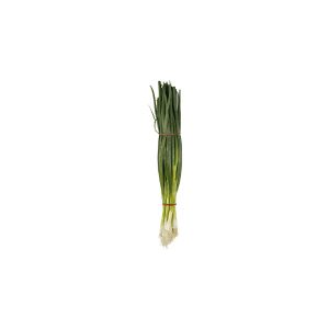 Fresh Spring Onions Prepacked