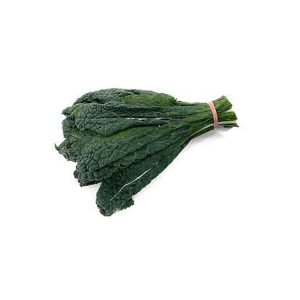 Fresh Tuscan Kale