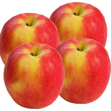 pink lady apples