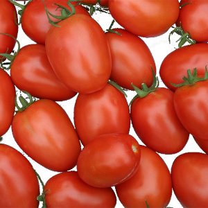Fresh Roma Tomatoes